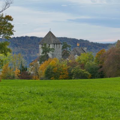 P023 Burg Hohenklingen